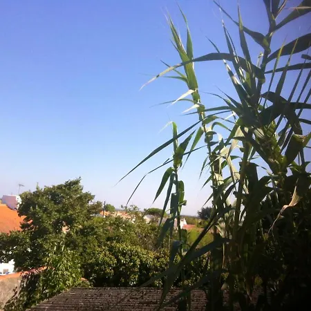House With 2 Bedrooms In With Wonderful Sea View Enclosed Garden And Wifi Prázdninový dům *